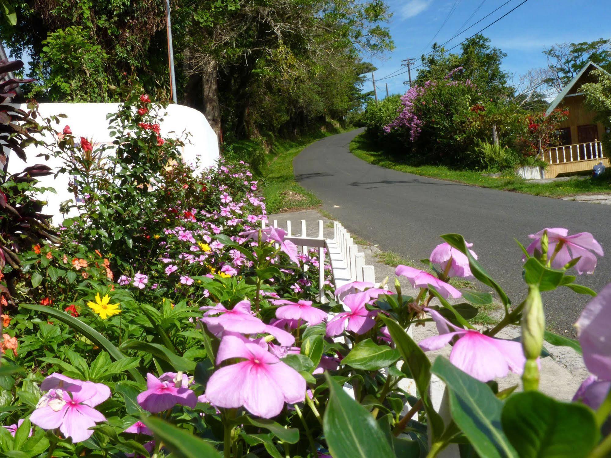 Autana Bed & Breakfast โบเกเต ภายนอก รูปภาพ