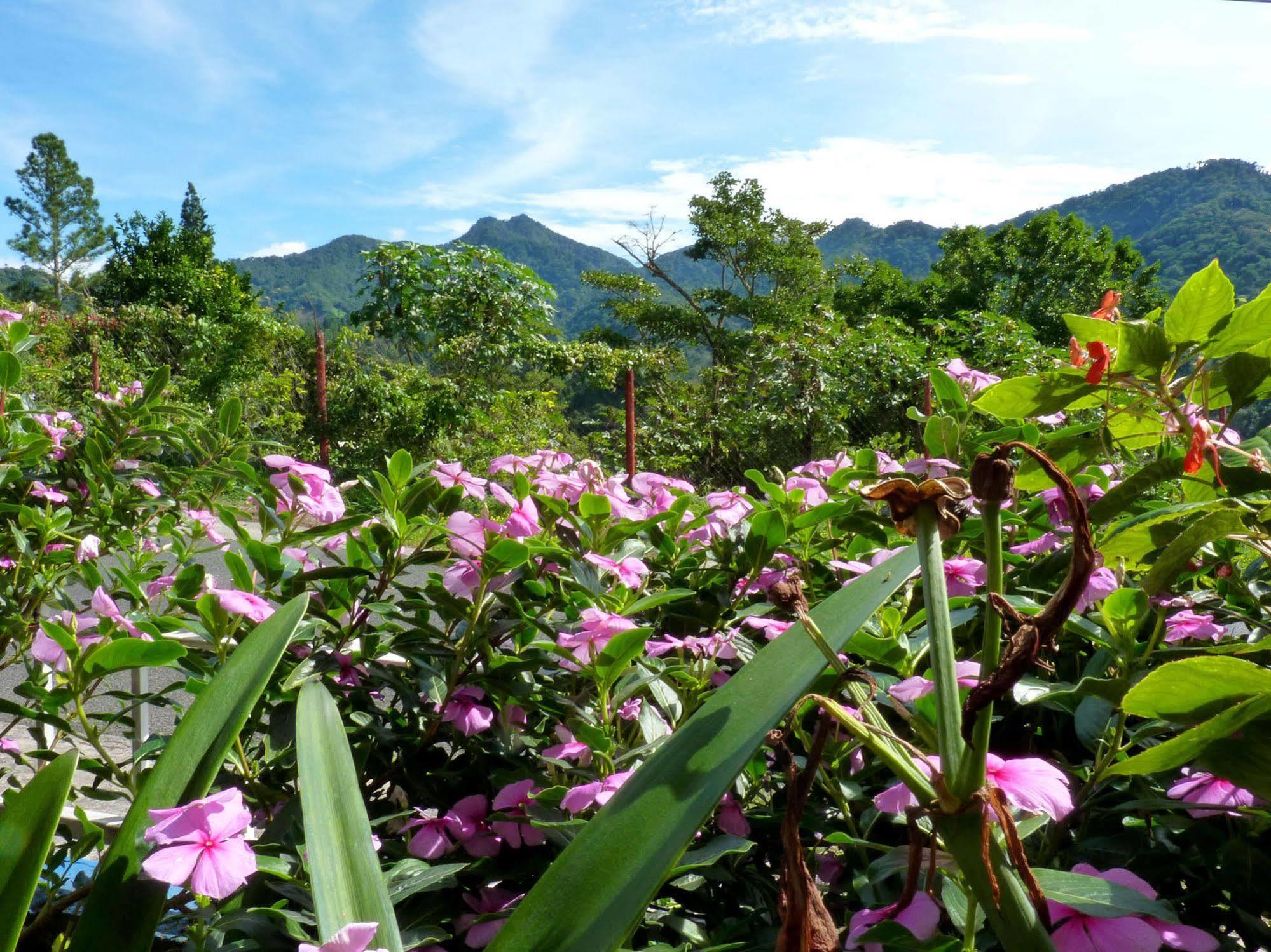 Autana Bed & Breakfast โบเกเต ภายนอก รูปภาพ